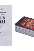 СircusTaro. Ключ к пониманию будущего. 79 карт и подробное руководство