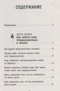 Нескучная книга о счастье, деньгах и своем предназначении