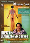 Шесть целительных звуков. Очищение крови и лимфы Чиа М.