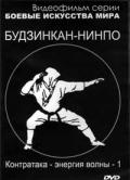 Будзинкан-нинпо. Контратака - энергия волны -1 Момот В.