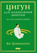 Цигун для накопления энергии. Малая циркуляция Ян Цзюньмин