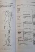 Учебник китайской медицины для западных врачей: Теоретические основы китайской акупунктуры