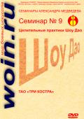 Александр Медведев. Семинар 9. Тао «Три костра» Медведев А.