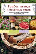 Грибы, ягоды и полезные травы. Большая иллюстрированная энциклопедия Ильина Т.