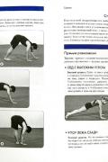 Спортивная гимнастика. Полное руководство по подготовке