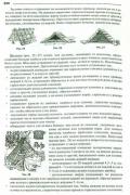 Спецназ. Полный курс подготовки бойца