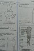 Прикладная кинезиология. Восстановление тонуса и функций скелетных мышц